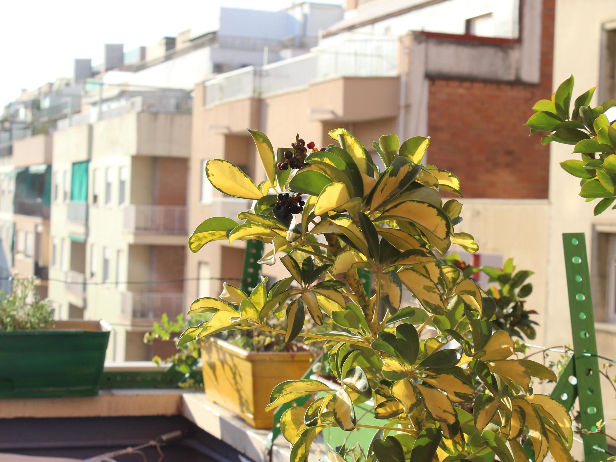 Onefam Sants Hostel Barcelona Luaran gambar